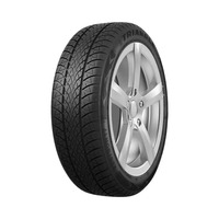 205/55  R16  Triangle WinterX TW401 94V XL